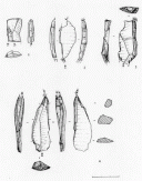 Figure 10 : Burins divers des niveaux gravettiens