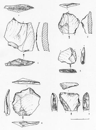 Figure 13 : Raclettes