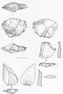 Figure 6 : Nucléus discoïde et éclats Levallois, Moustérien